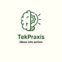 tekpraxis.com logo