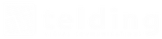 telding.com logo