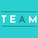 tem.team logo