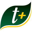 temperoamais.com logo