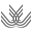 uca.es logo