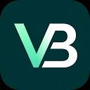 video-bookmark.com logo