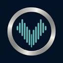 vowise.com logo