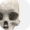 xranatomy.com logo
