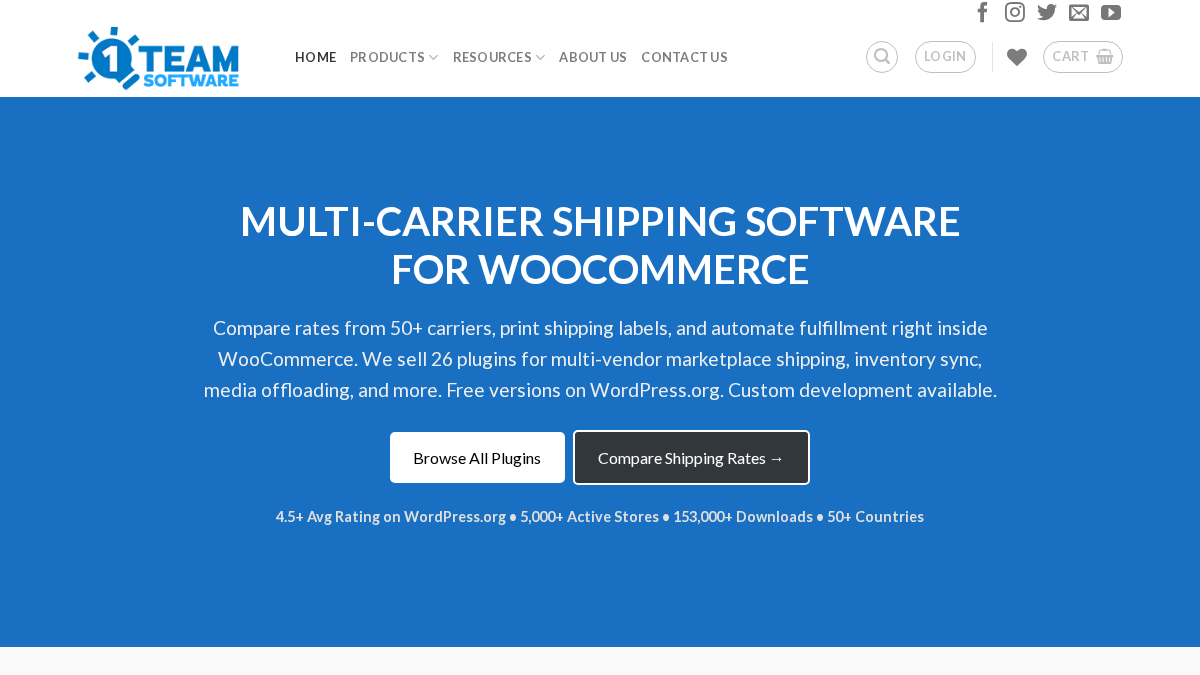 1teamsoftware.com 官网首页截图
