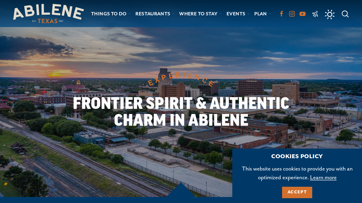 abilenevisitors.com 官网首页截图
