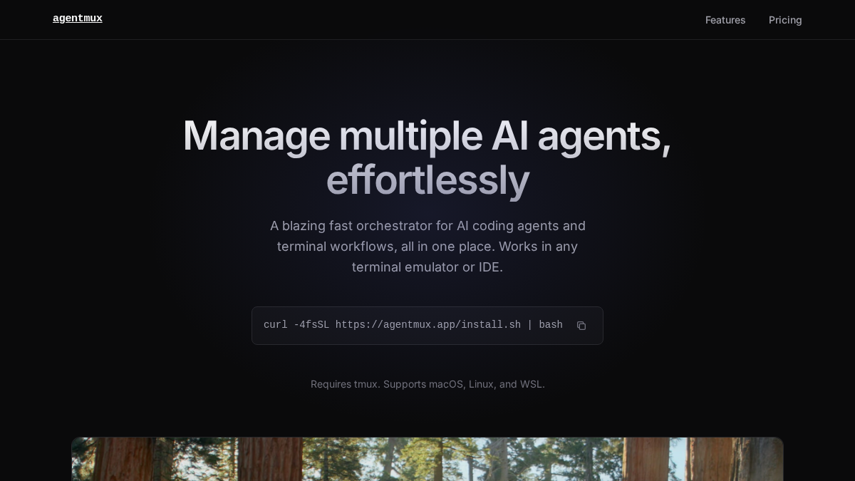 agentmux.app 官网首页截图