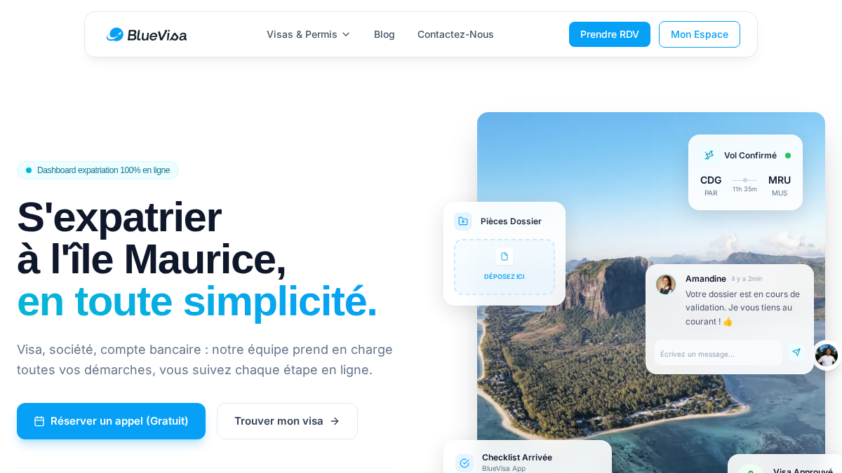 bluevisa.com 官网首页截图