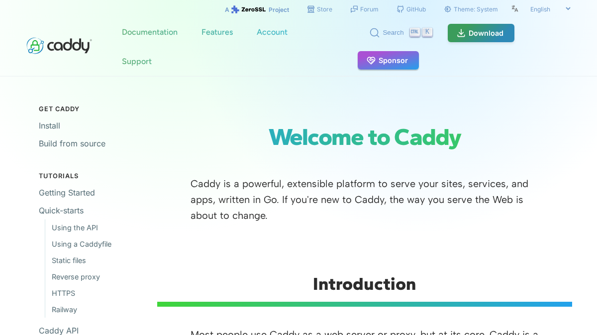 caddy.guide 官网首页截图