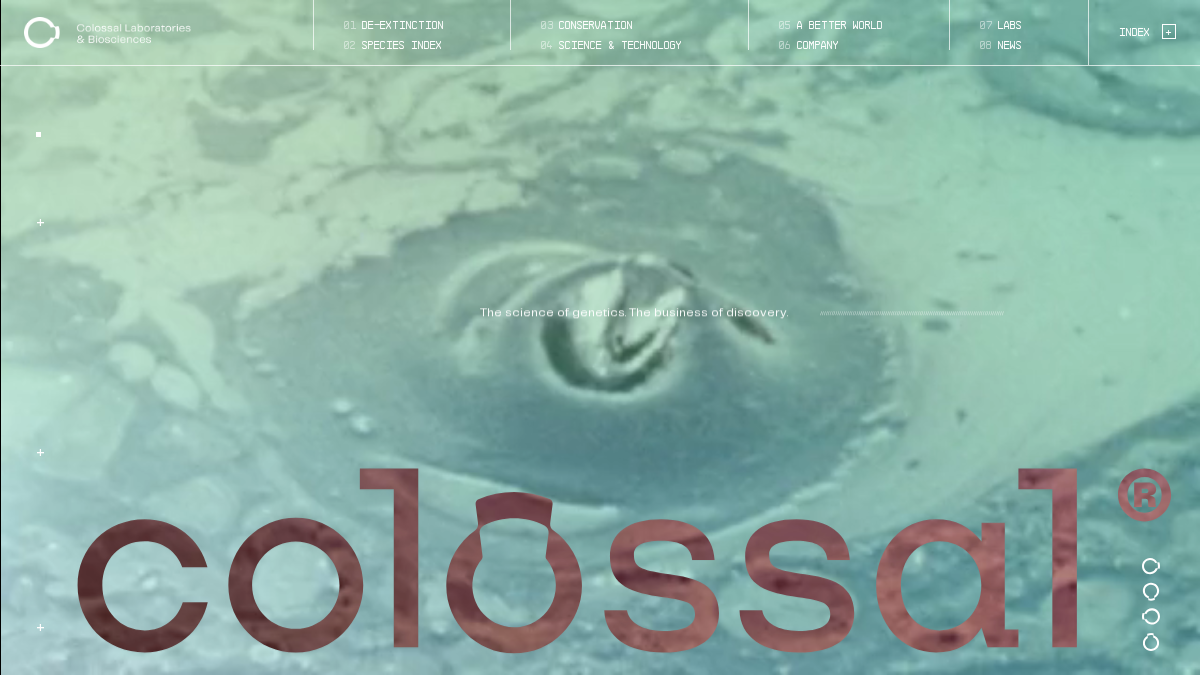 colossal.com 官网首页截图