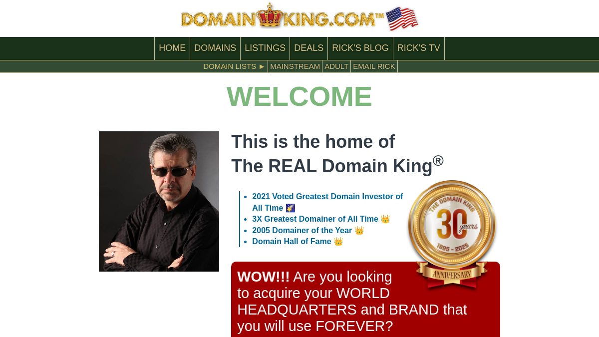 domainking.com 官网首页截图