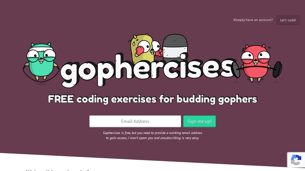 gophercises.com 官网首页截图
