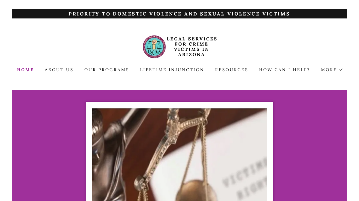 lscva.com 官网首页截图