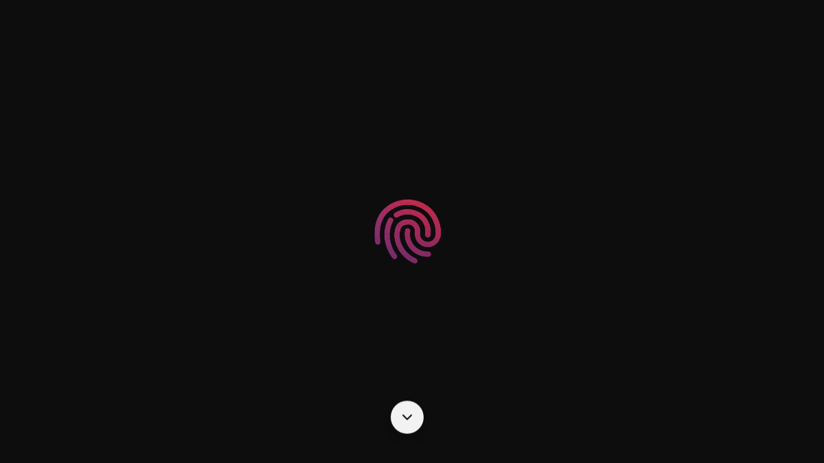 netlock.com 官网首页截图