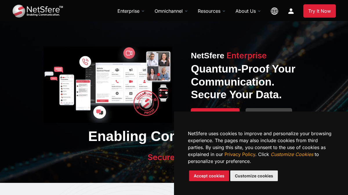 netsfere.com 官网首页截图