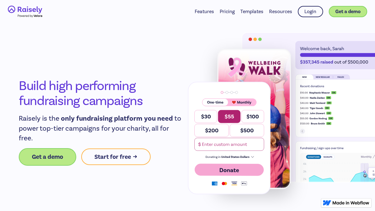 raisely.io 官网首页截图