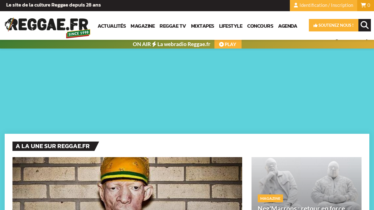 reggae.fr 官网首页截图