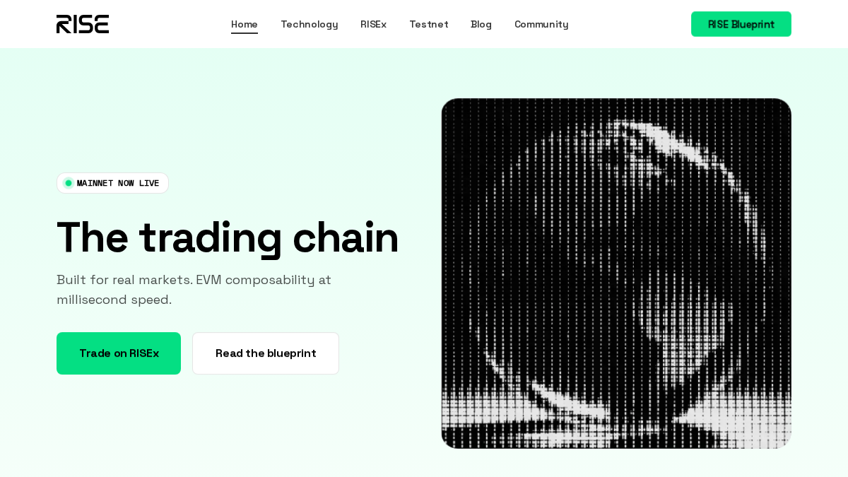 risechain.com 官网首页截图