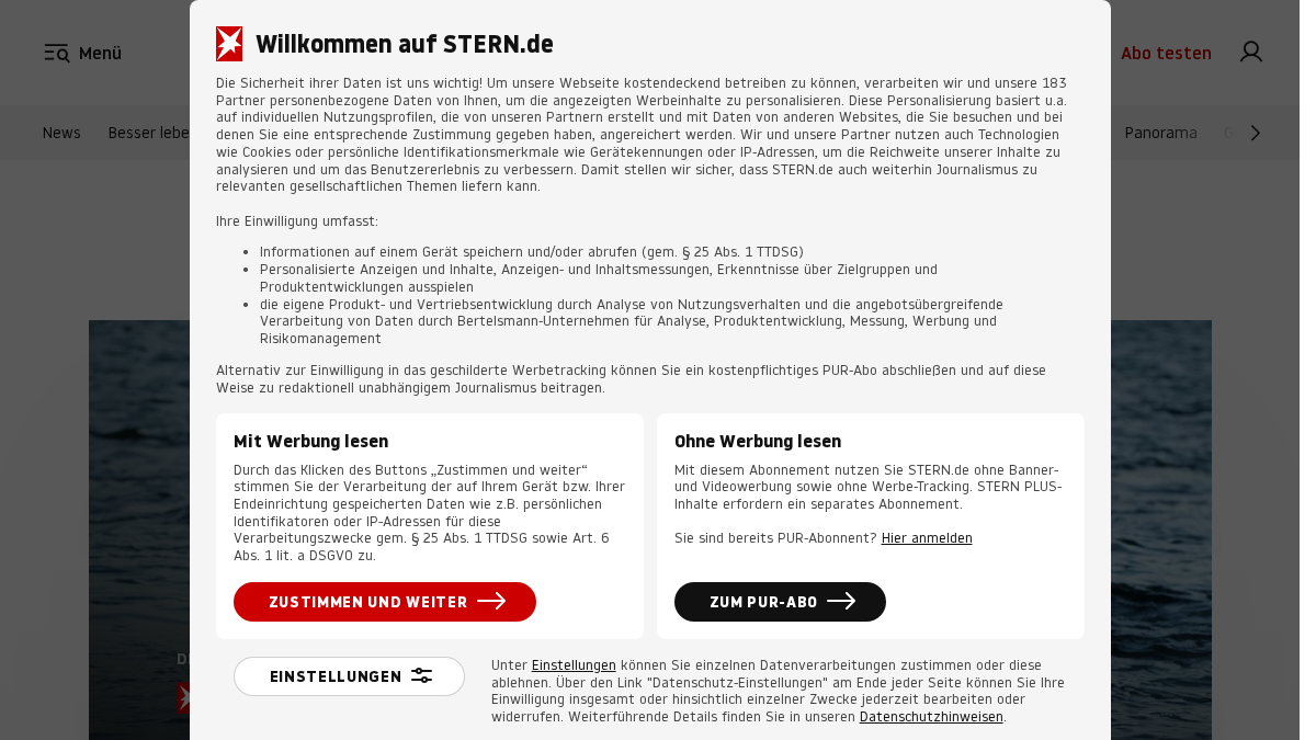stern-online.eu 官网首页截图