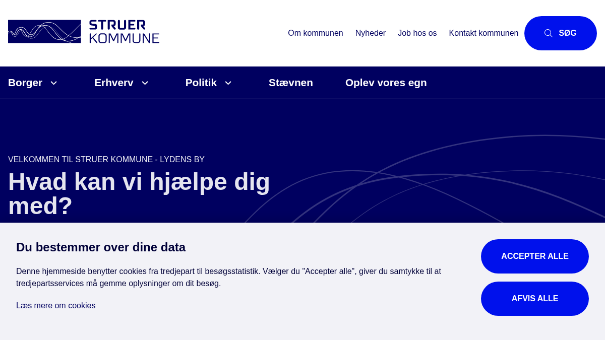 struer.dk 官网首页截图