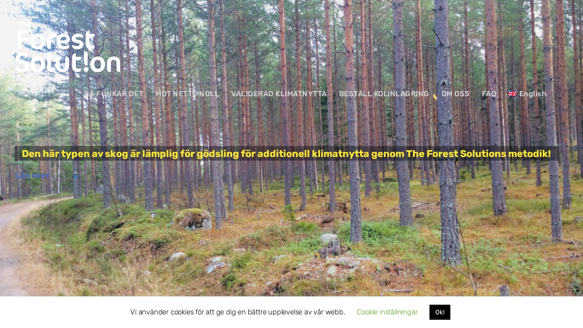 theforestsolution.se 官网首页截图