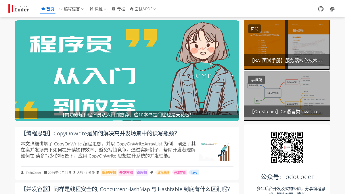 todocoder.com 官网首页截图