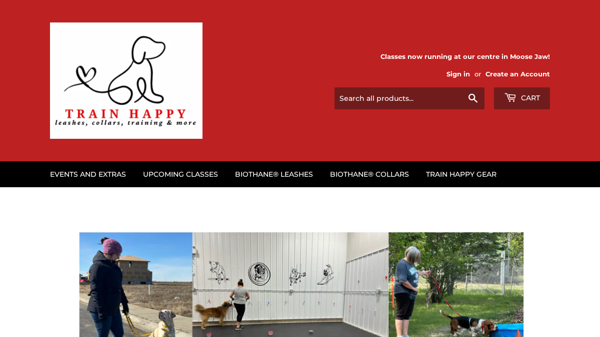 trainhappy.ca 官网首页截图