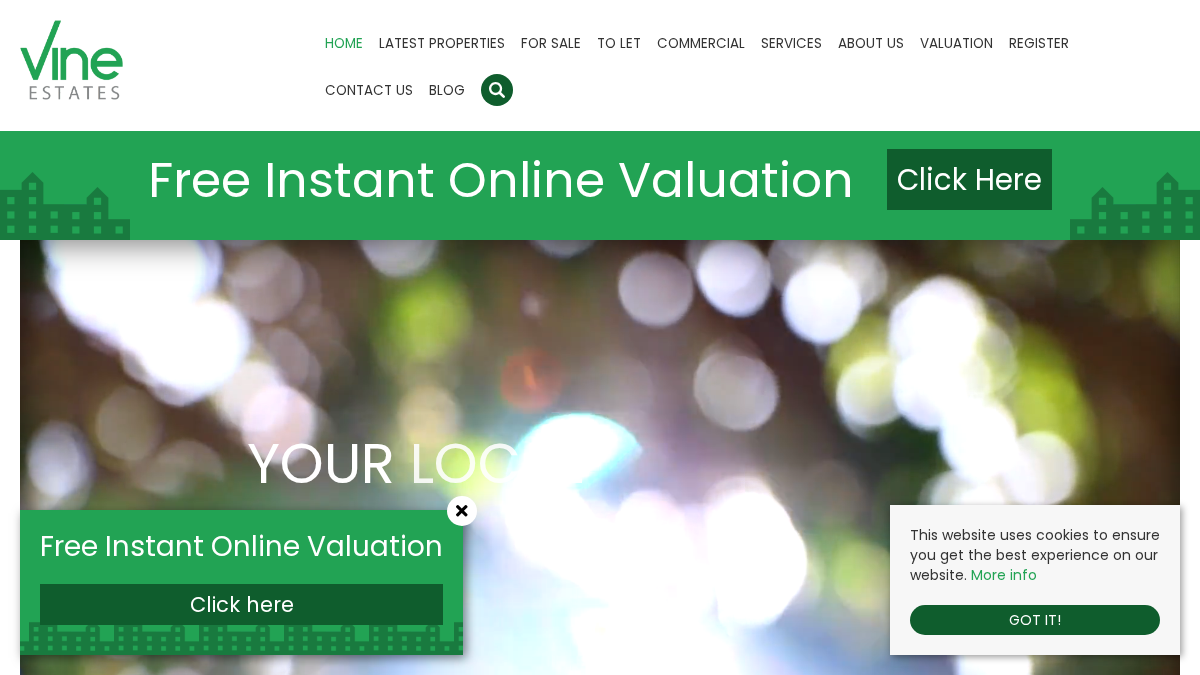 vineestates.com 官网首页截图