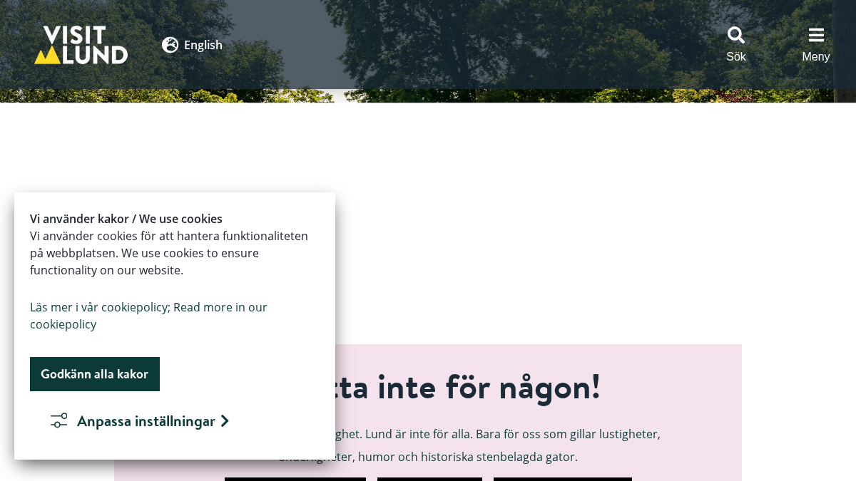 visitlund.com 官网首页截图