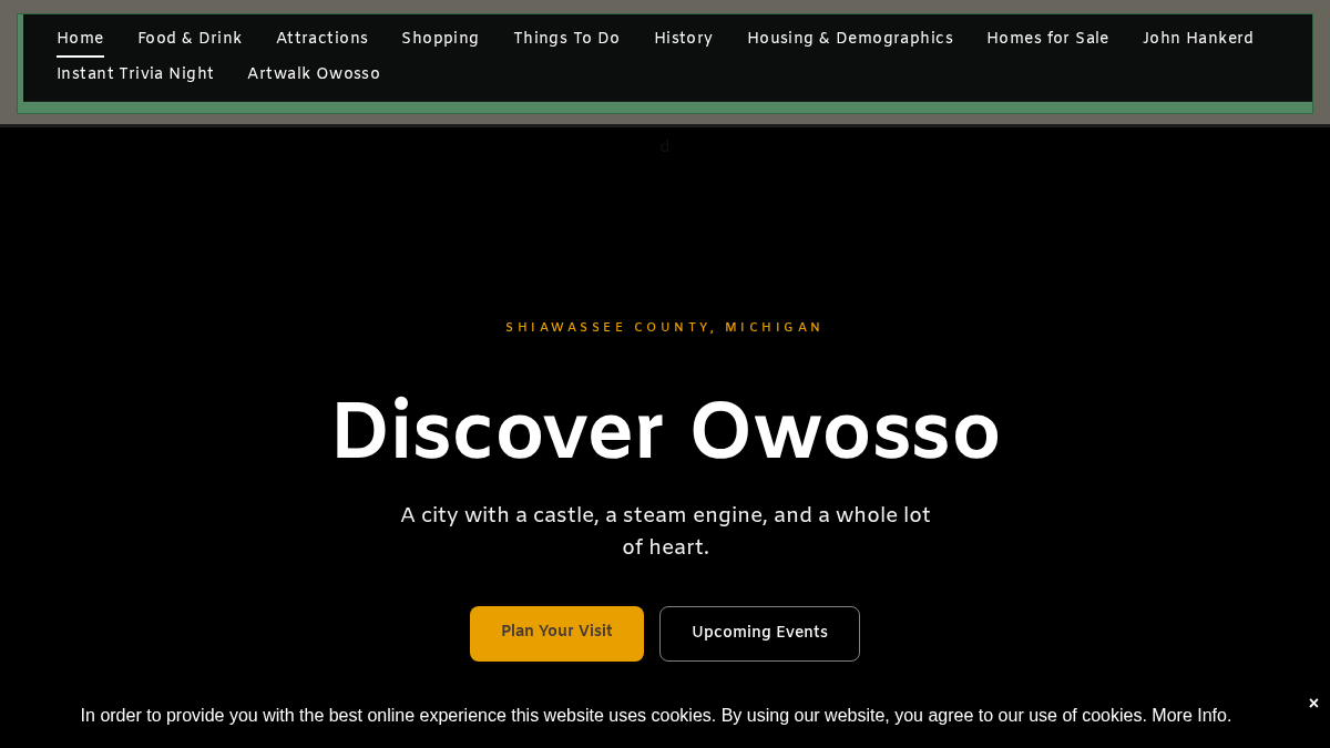 visitowosso.com 官网首页截图
