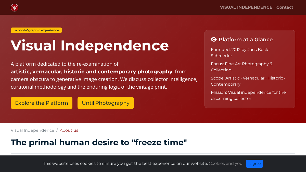 visualindependence.com 官网首页截图